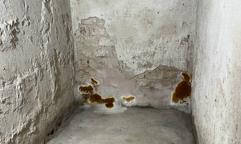 Likvidace dřevomorky v konstrukci domu