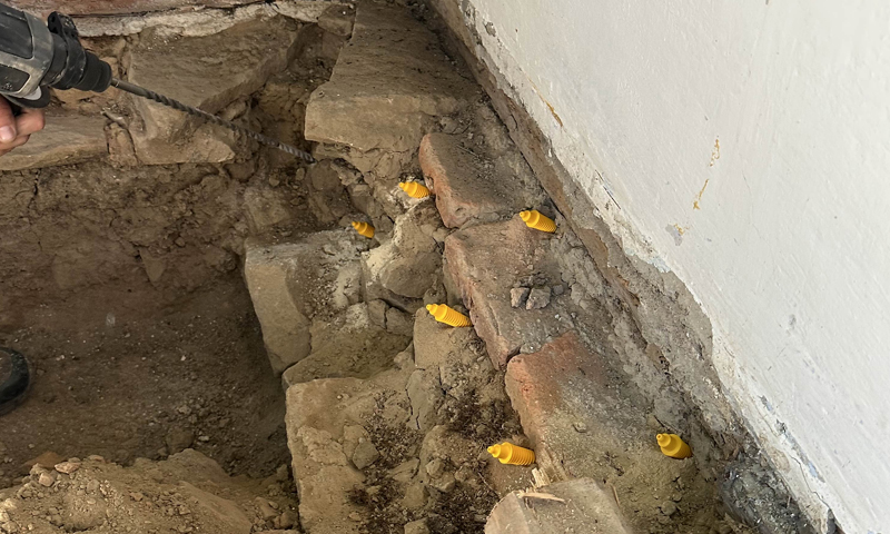 Profesionální sanace napadení dřevomorkou