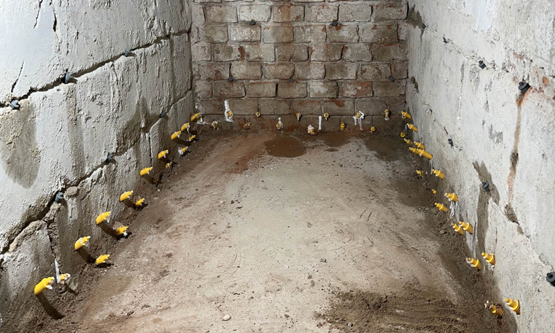 Sanace zdiva napadeného dřevomorkou