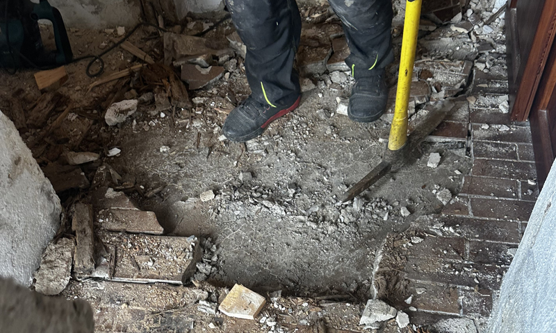 Diagnostika výskytu dřevokazných hub