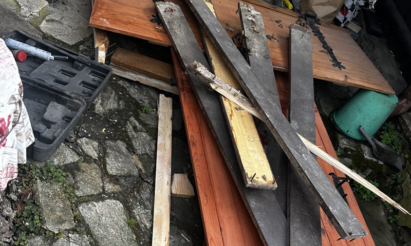 Účinná likvidace dřevomorky ve stropě