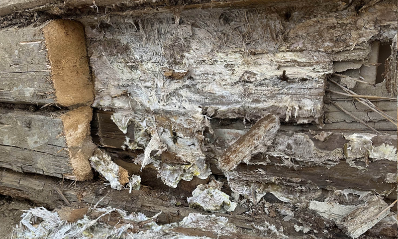 Sanace vlhkého zdiva a odstranění plísní