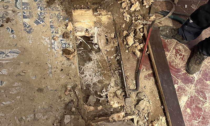 Likvidace dřevomorky svépomocí vs profesionálně