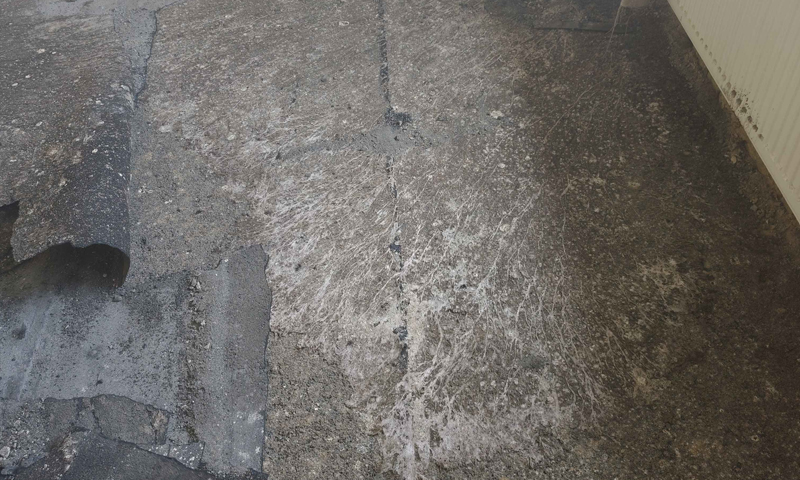 Hniloba dřeva způsobená dřevomorkou