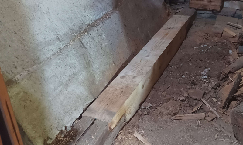 Sanace a náhrada poškozeného dřeva