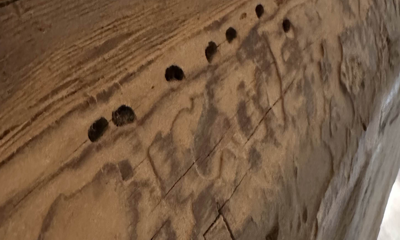 Kompletní ochrana památky před dřevokaznými houbami