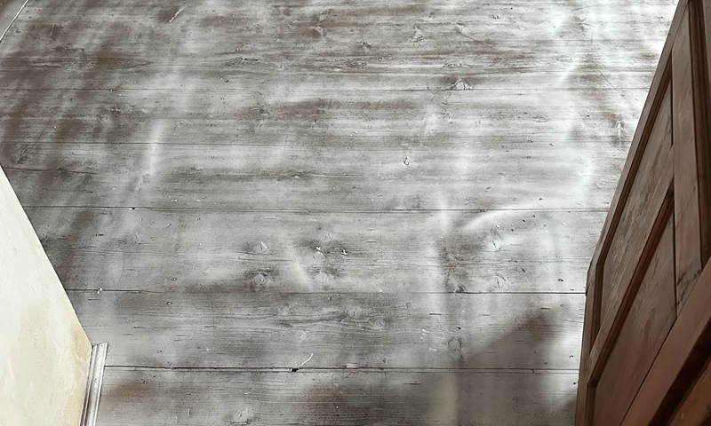 Mikrovlnné ošetření dřeva u zámeckých konstrukcí