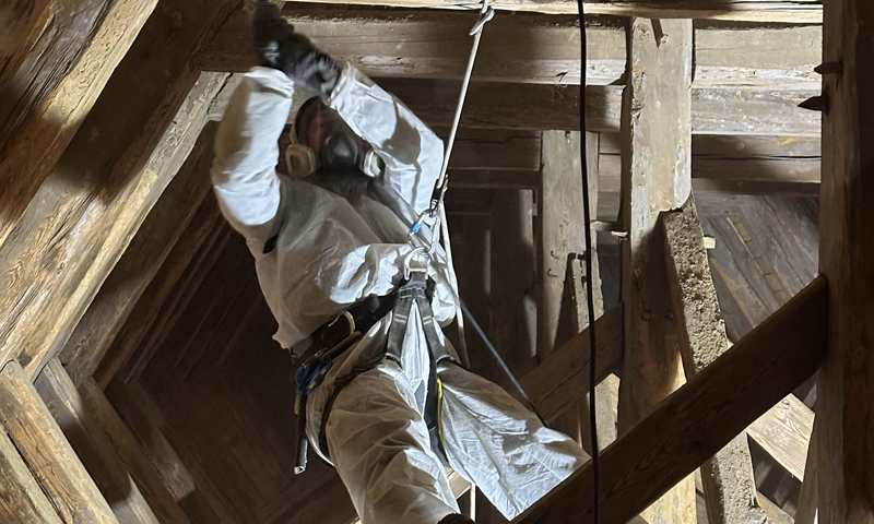 Odborný mykologický průzkum na zámku