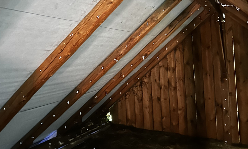 Ochrana dřeva a likvidace škůdců