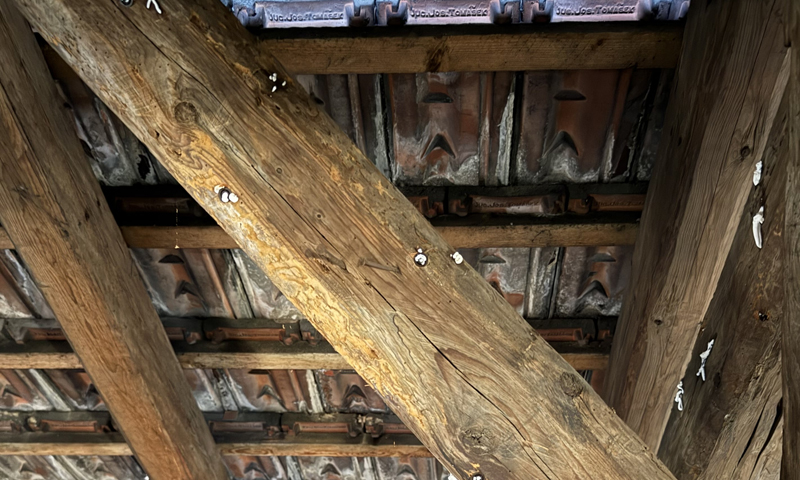 Likvidace červotoče v podkroví