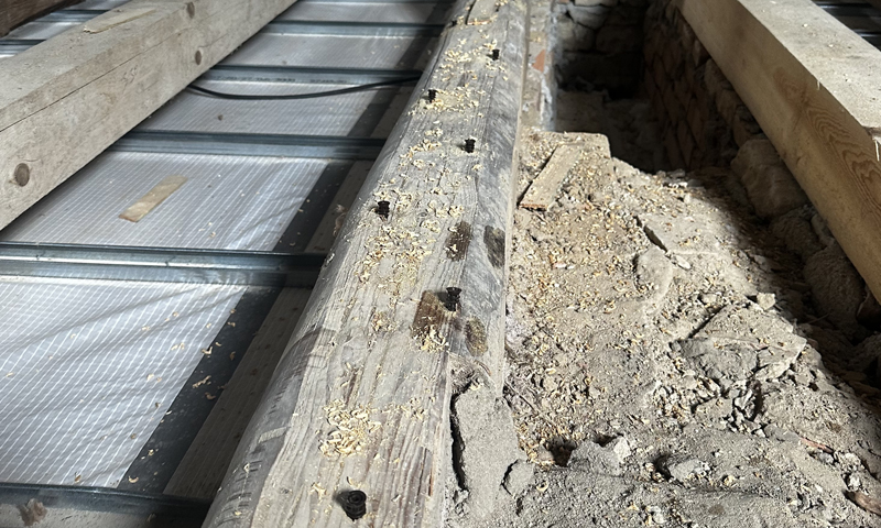 Likvidace dřevokazného hmyzu na půdě