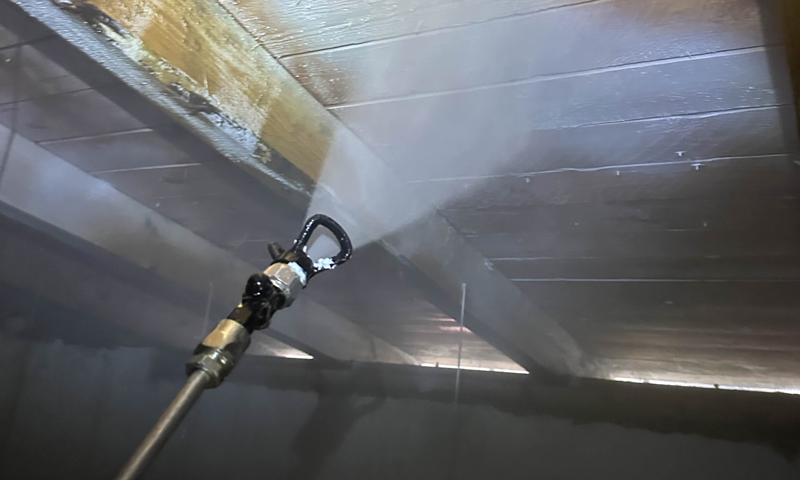 Ochrana krovu před tesaříkem a plísněmi