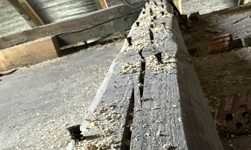 Likvidace larev červotoče v dřevě