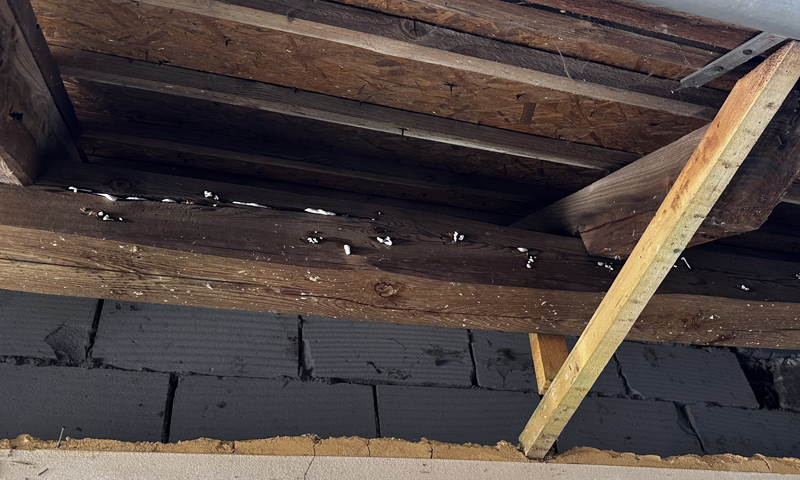 Sanace a zpevnění dřevěných trámů