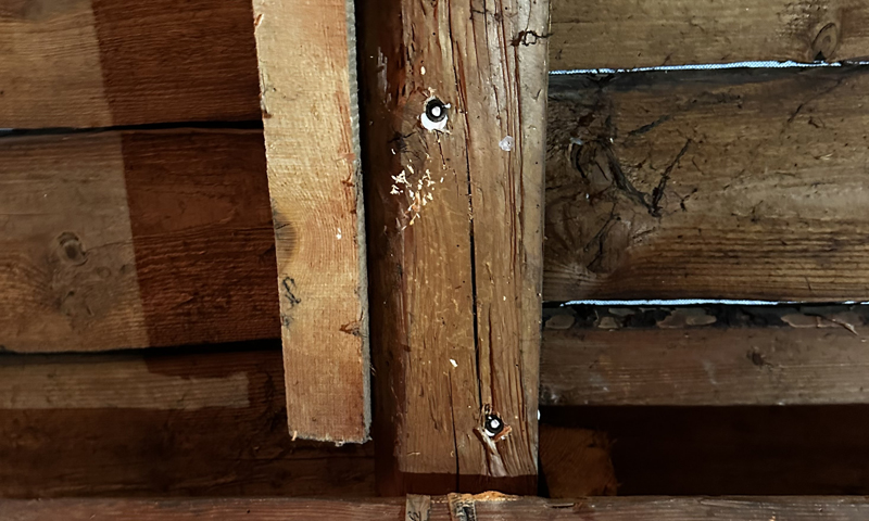 Likvidace tesaříka na půdě