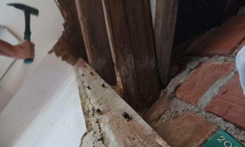 Sanace vlhkého dřeva a likvidace hub