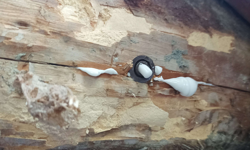 Likvidace škůdců v dřevěných obkladech