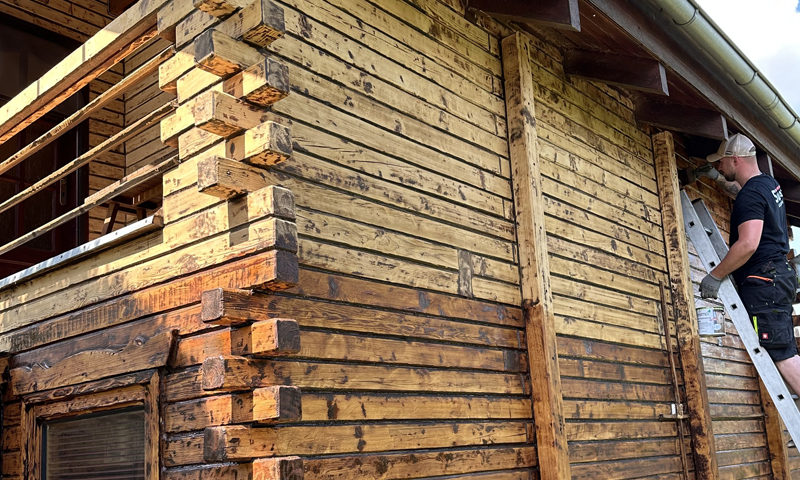 Likvidace tesaříka a červotoče v podkroví