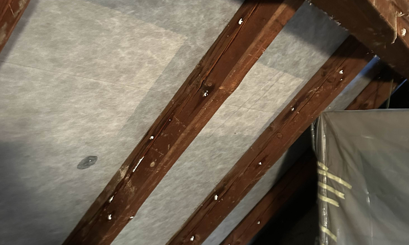 Likvidace červotoče v trámu