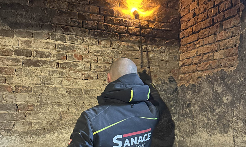 Likvidace dřevomorky