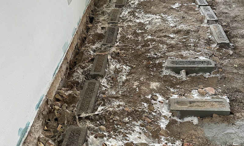 Likvidace drevomorky