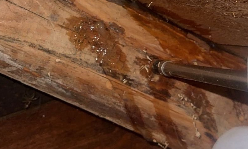 jak se vyznat v kvalitě injektáží