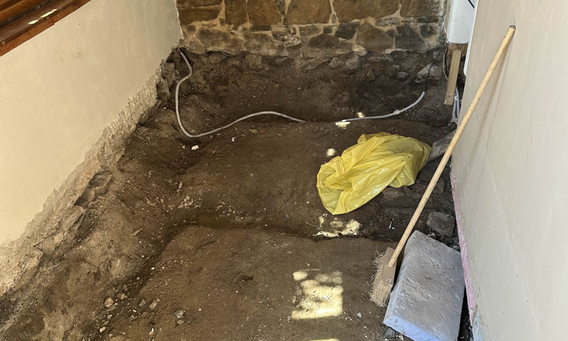 Výběrové práce při dřevomorce